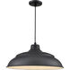 R Series 1 Light 20 inch Satin Black Indoor Pendant Ceiling Light